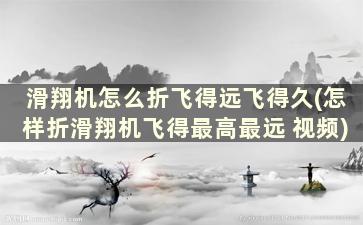 滑翔机怎么折飞得远飞得久(怎样折滑翔机飞得最高最远 视频)